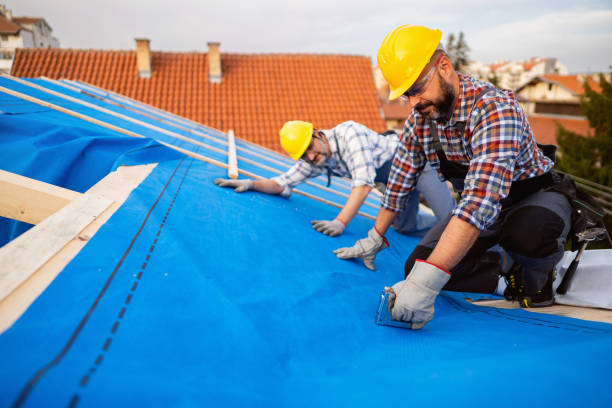 Best Gutter Installation and Roofing  in Sheridan, CA