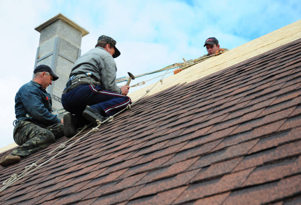 Quick and Trustworthy Emergency Roof Repair Services in Sheridan, CA